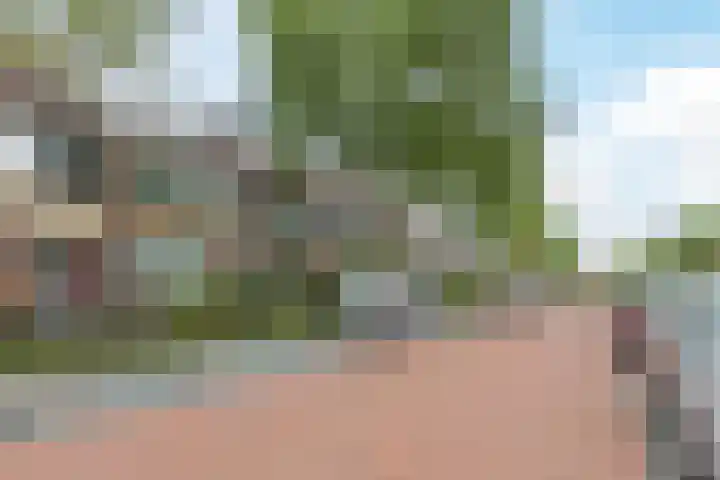 Het Corteland 8 Rijnsburg thumbnail 44