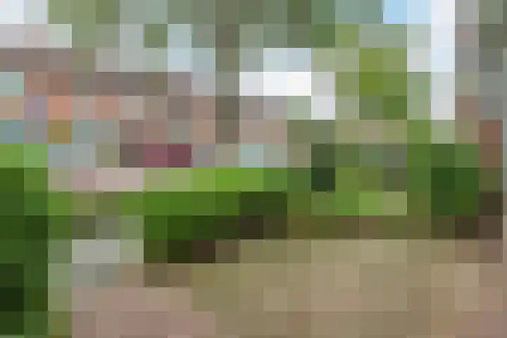 Het Corteland 8 Rijnsburg thumbnail 47