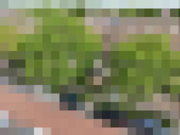 Het Corteland 8 Rijnsburg thumbnail 48