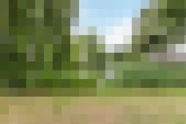Het Corteland 8 Rijnsburg thumbnail 55