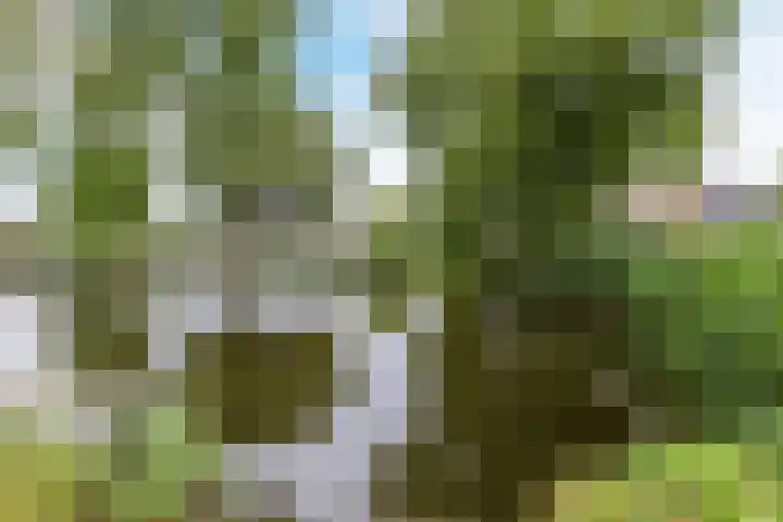 Het Corteland 8 Rijnsburg thumbnail 56