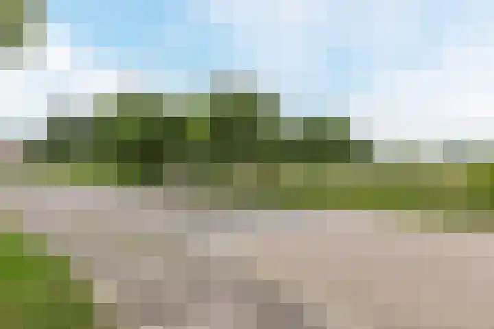 Het Corteland 8 Rijnsburg thumbnail 57