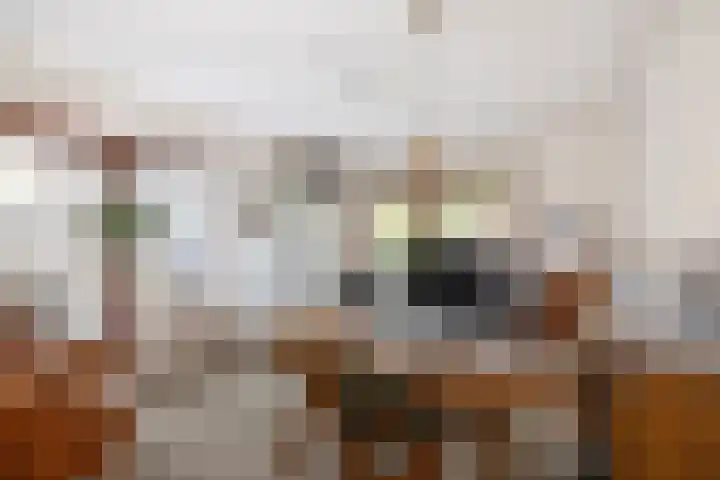 het Cruse 12 Twello thumbnail 10