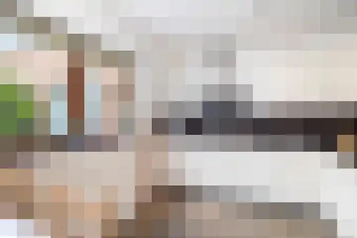 het Cruse 12 Twello thumbnail 16