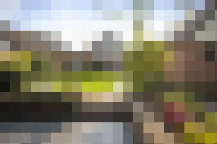 het Cruse 12 Twello thumbnail 28