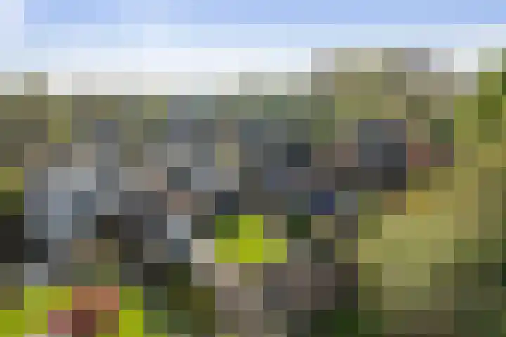 het Cruse 12 Twello thumbnail 31