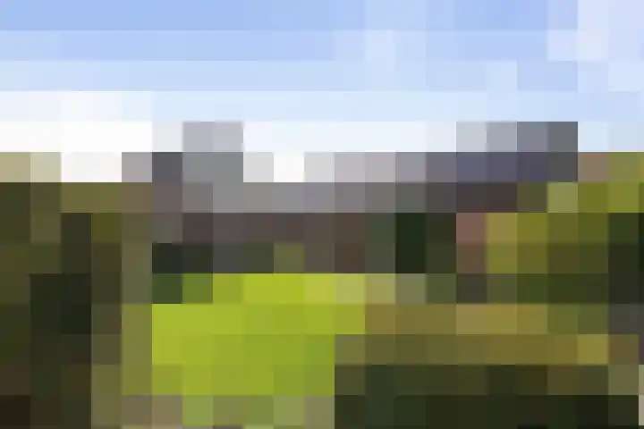 het Cruse 12 Twello thumbnail 32