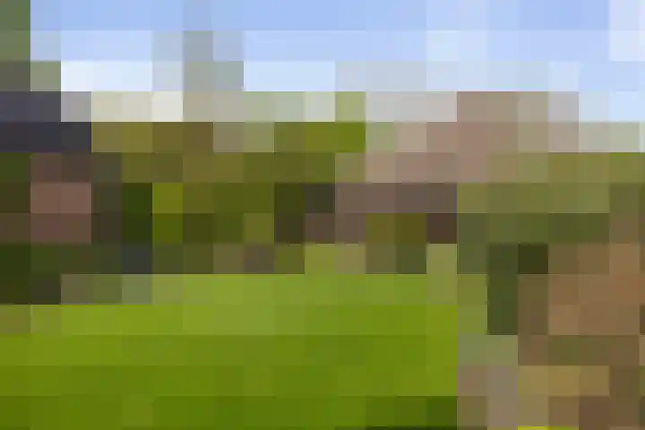 het Cruse 12 Twello thumbnail 33