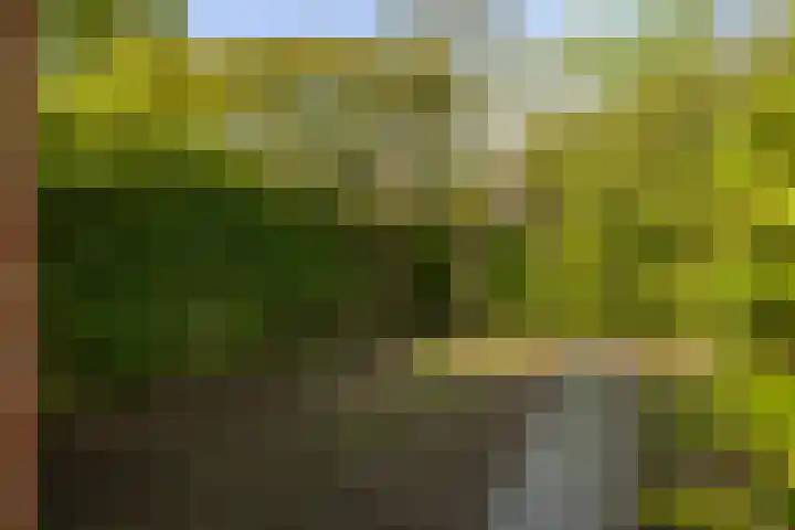 het Cruse 12 Twello thumbnail 37