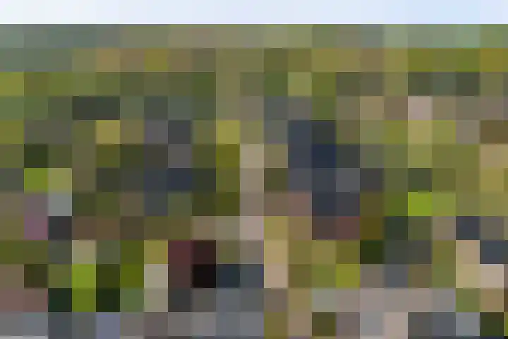 het Cruse 12 Twello thumbnail 41