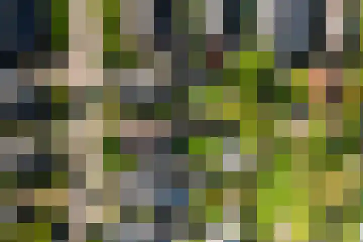 het Cruse 12 Twello thumbnail 42