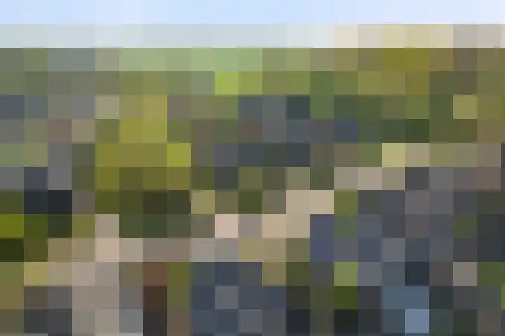 het Cruse 12 Twello thumbnail 43