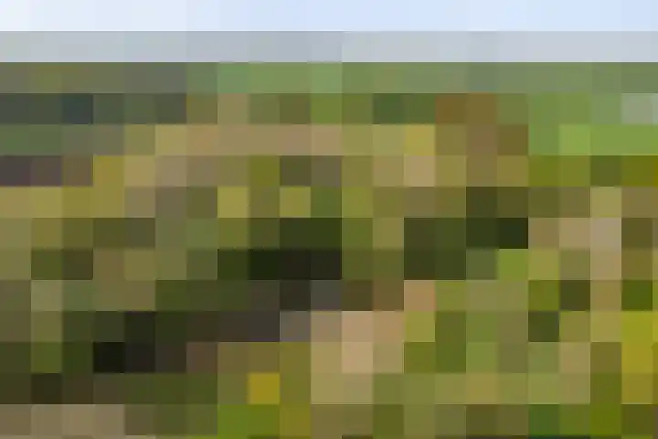 het Cruse 12 Twello thumbnail 44