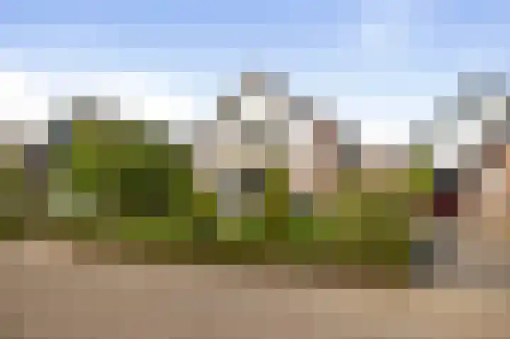 het Cruse 12 Twello thumbnail 51