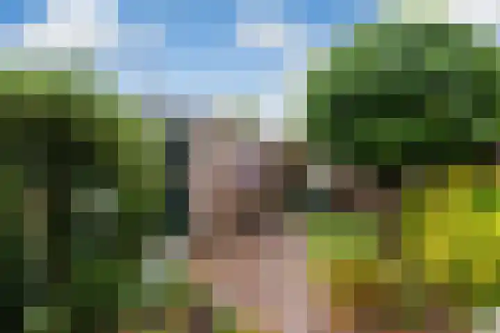 Het Dagwerk 14 Dronten thumbnail 24