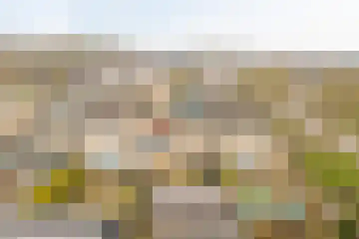 Het Dagwerk 14 Dronten thumbnail 33