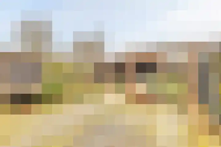 Het Dagwerk 14 Dronten thumbnail 38