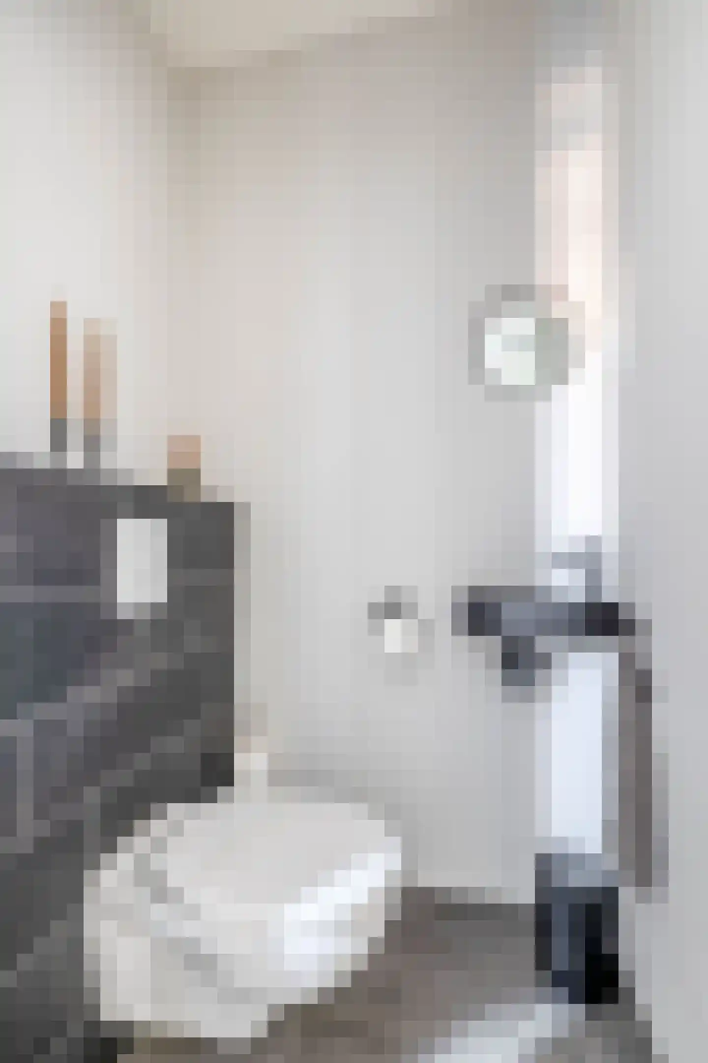 Het Derp 15 Deurne thumbnail 15