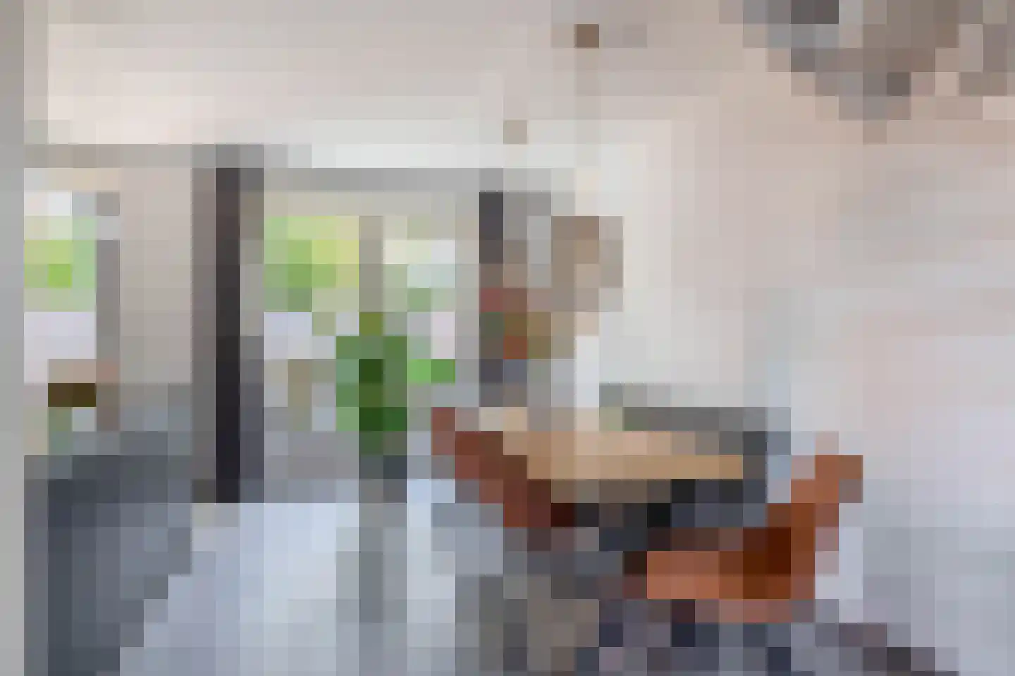 Het Derp 15 Deurne thumbnail 19