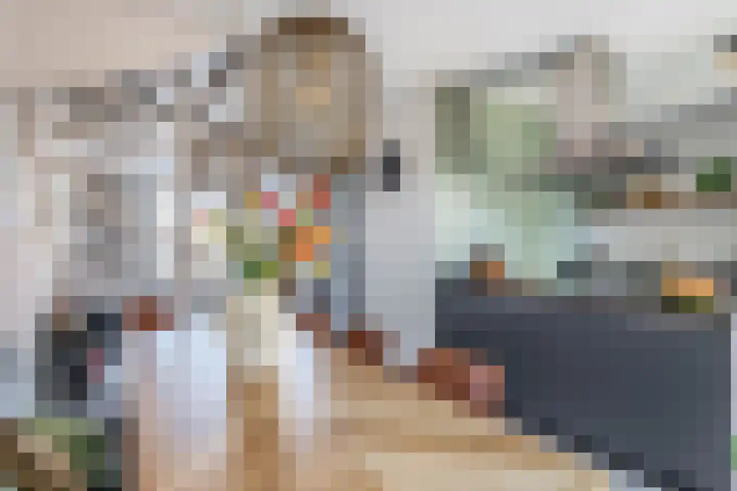 Het Derp 15 Deurne thumbnail 20