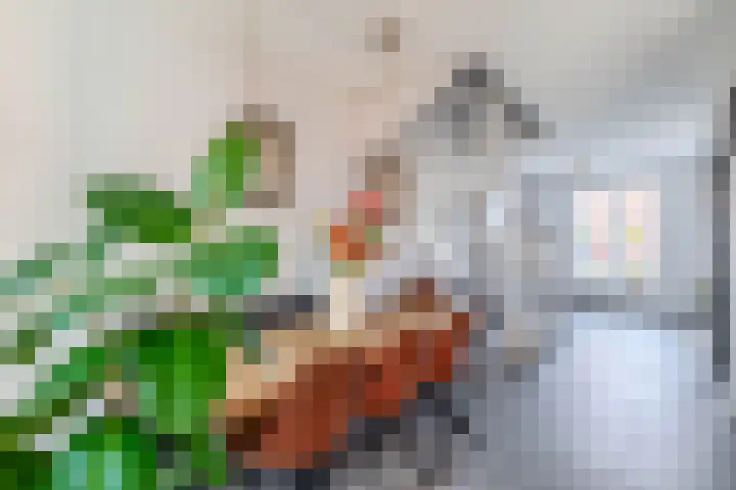 Het Derp 15 Deurne thumbnail 22
