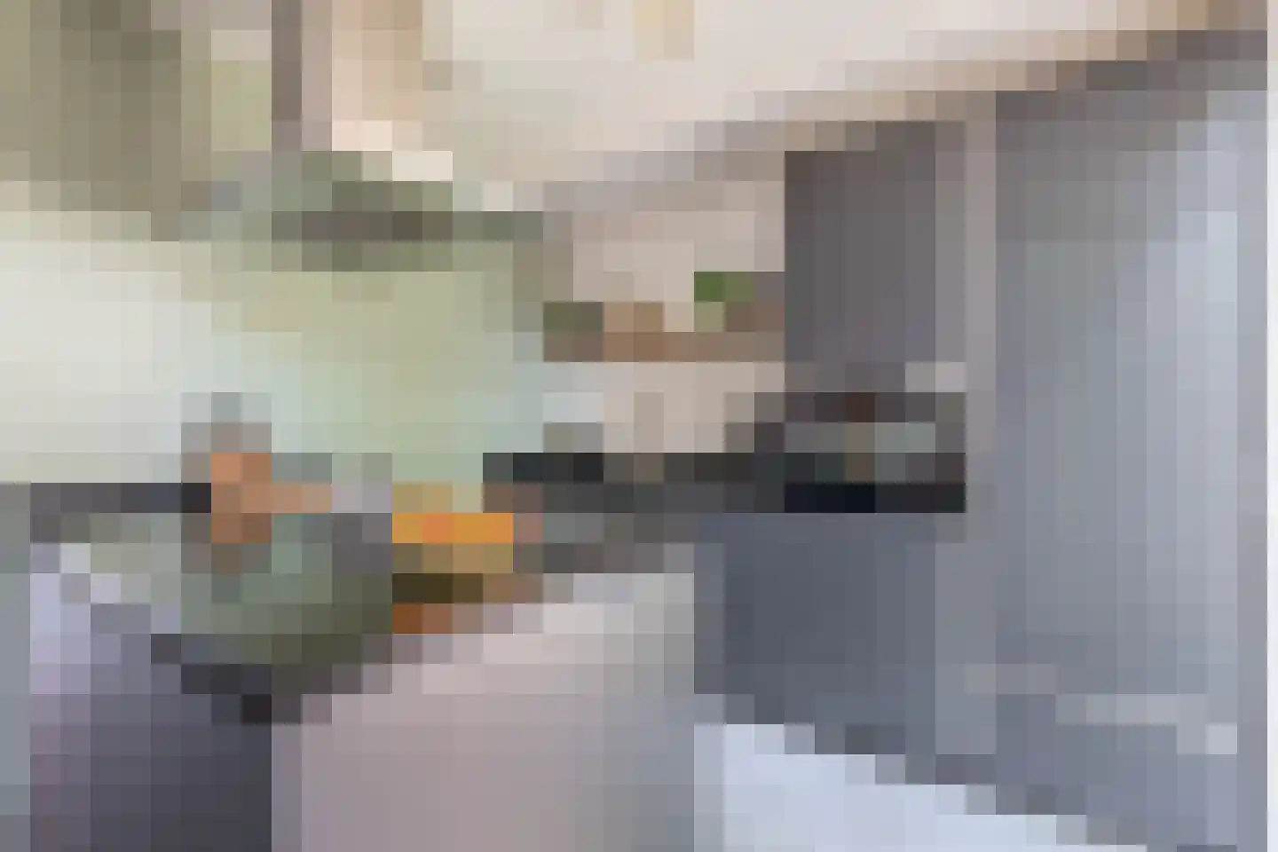 Het Derp 15 Deurne thumbnail 28