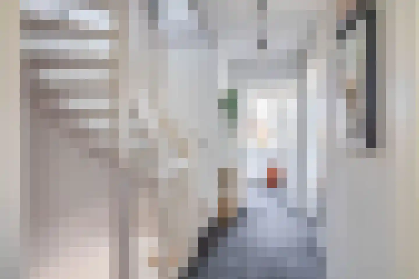Het Derp 15 Deurne thumbnail 29