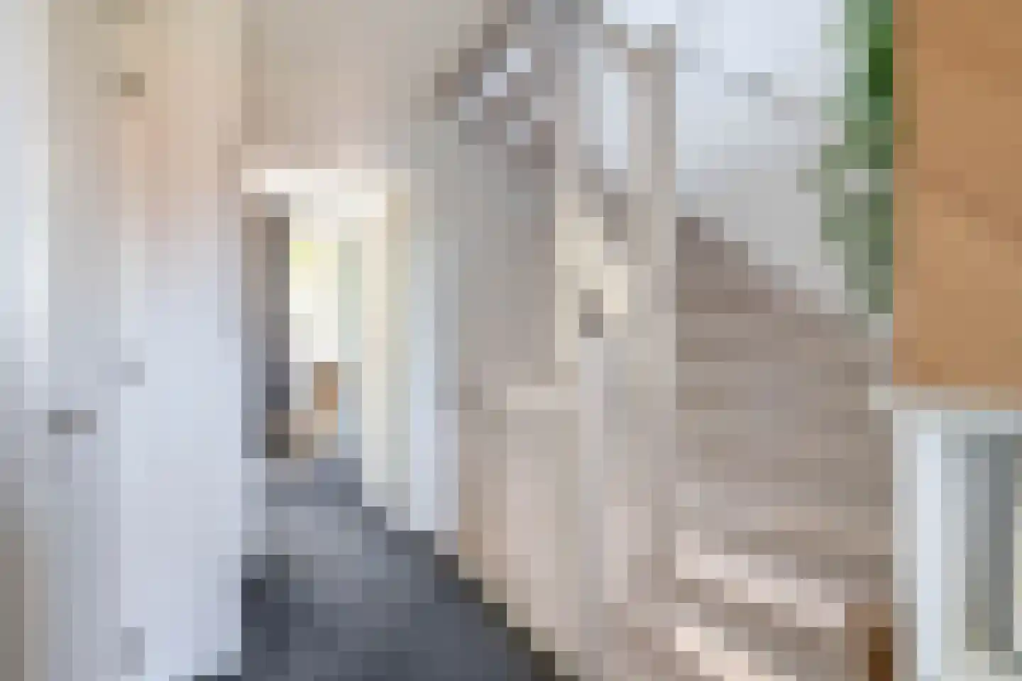 Het Derp 15 Deurne thumbnail 30