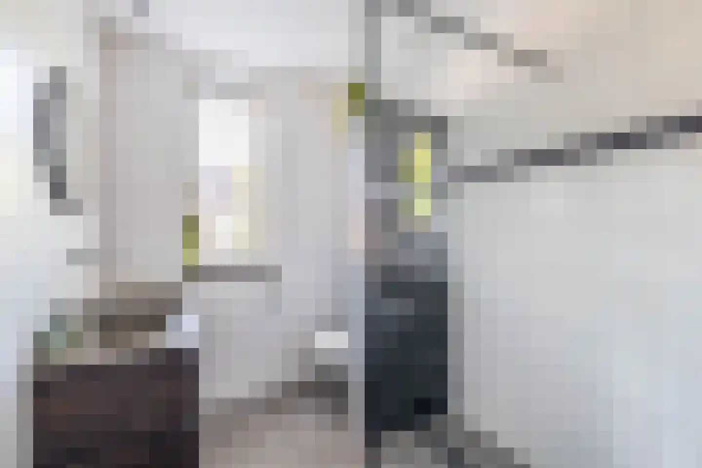 Het Derp 15 Deurne thumbnail 38