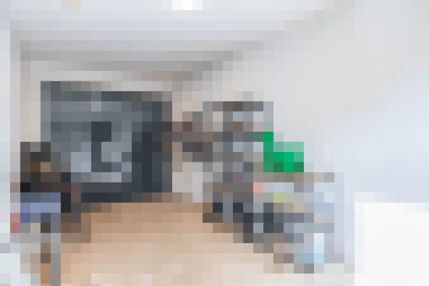 Het Derp 15 Deurne thumbnail 45