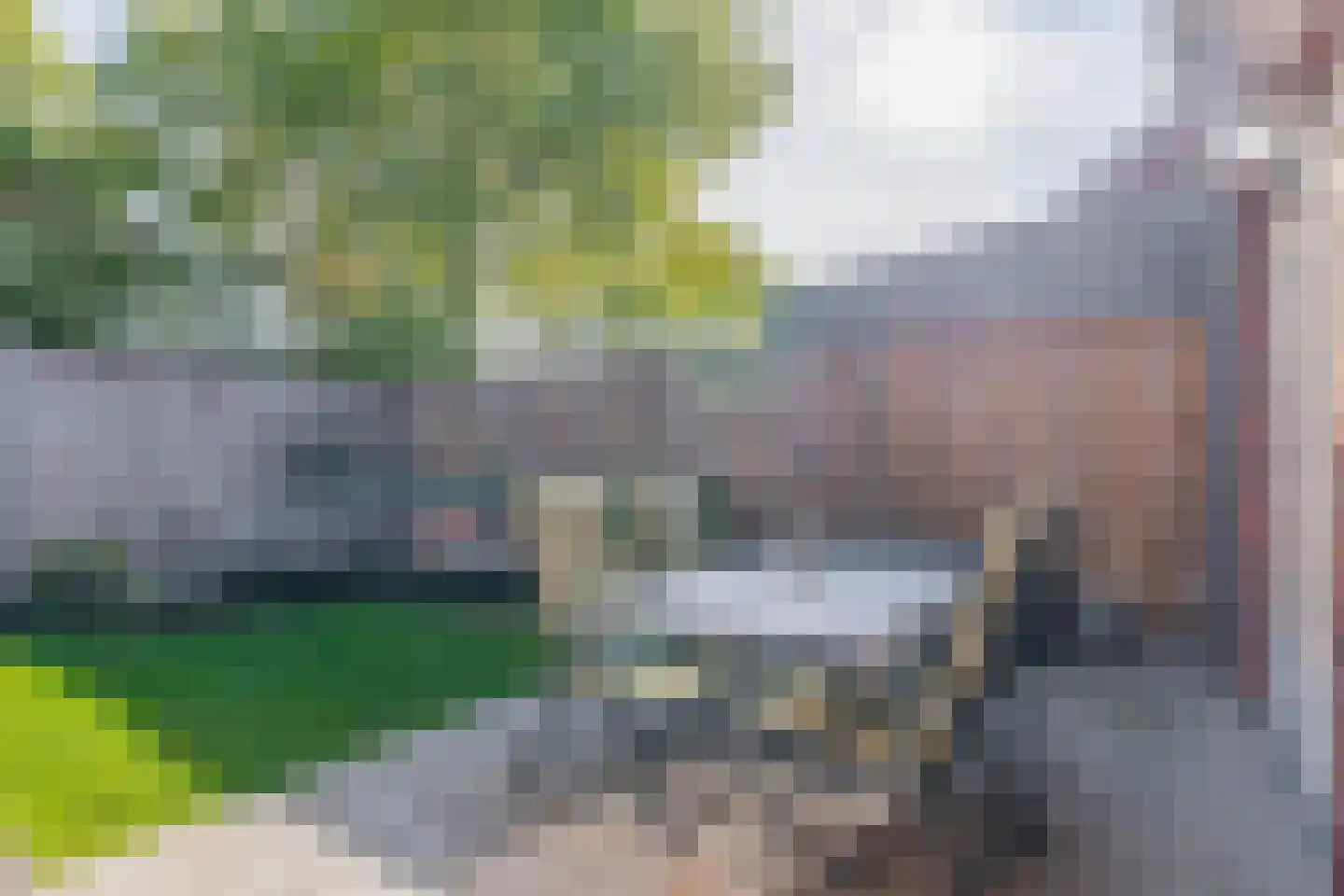 Het Derp 15 Deurne thumbnail 49