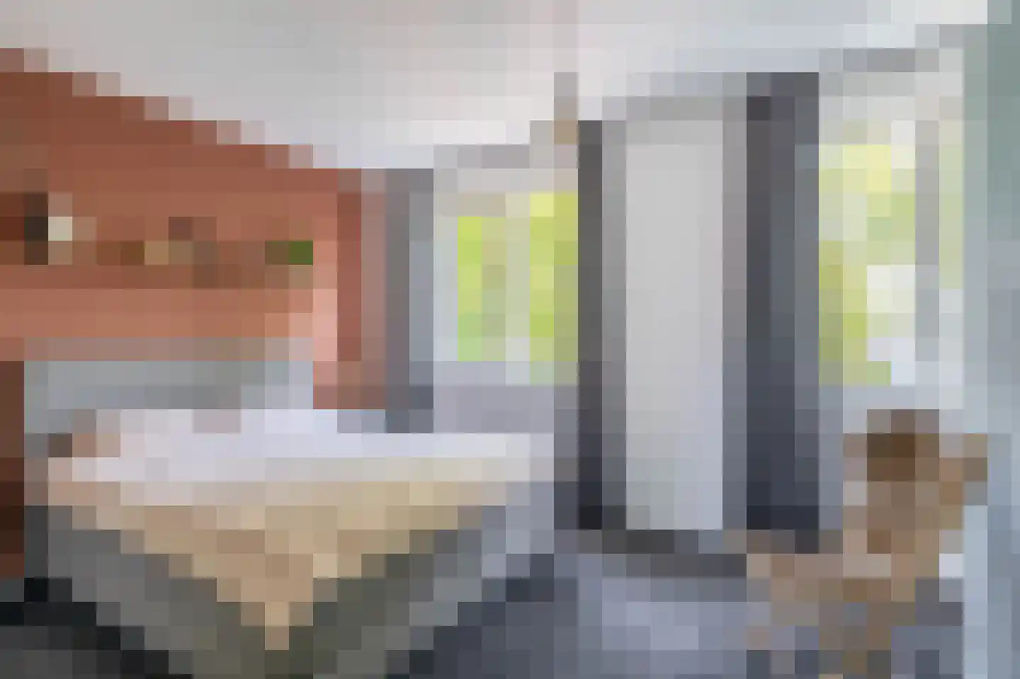 Het Derp 15 Deurne thumbnail 5