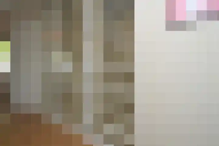 Het Derp 27 Deurne thumbnail 12