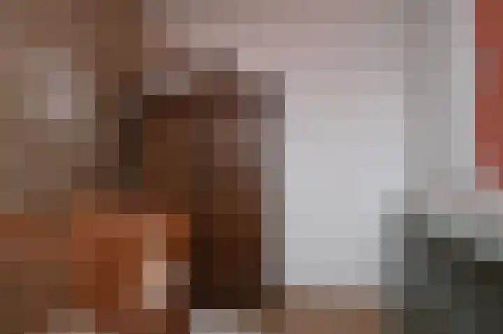 Het Derp 27 Deurne thumbnail 18