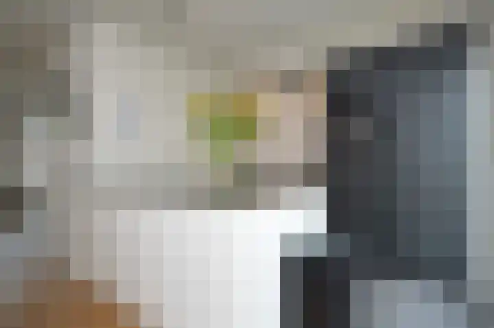 Het Derp 27 Deurne foto 2