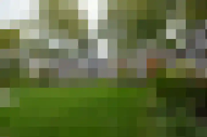 Het Derp 27 Deurne thumbnail 25