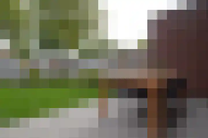 Het Derp 27 Deurne thumbnail 27