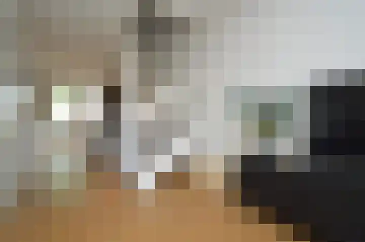 Het Derp 27 Deurne thumbnail 7