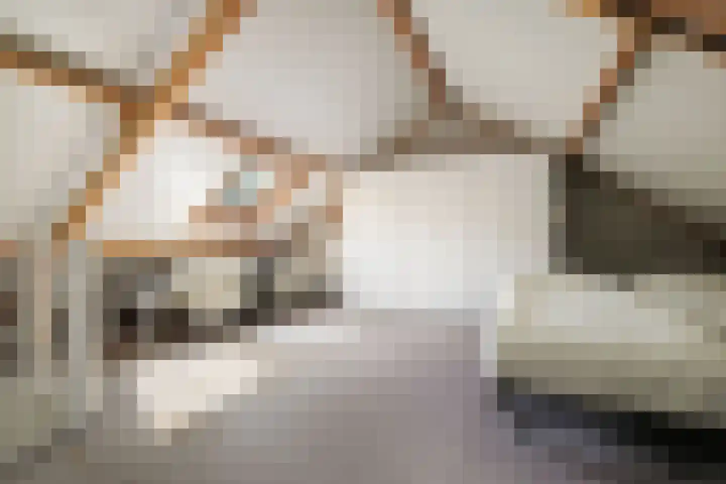 Het Diekman 14 Epse thumbnail 24