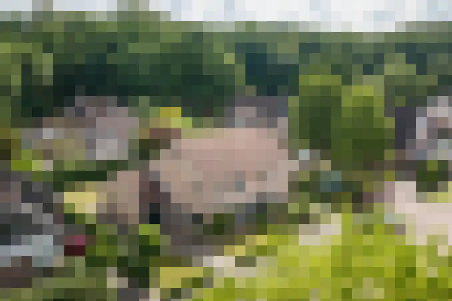 Het Diekman 14 Epse thumbnail 37