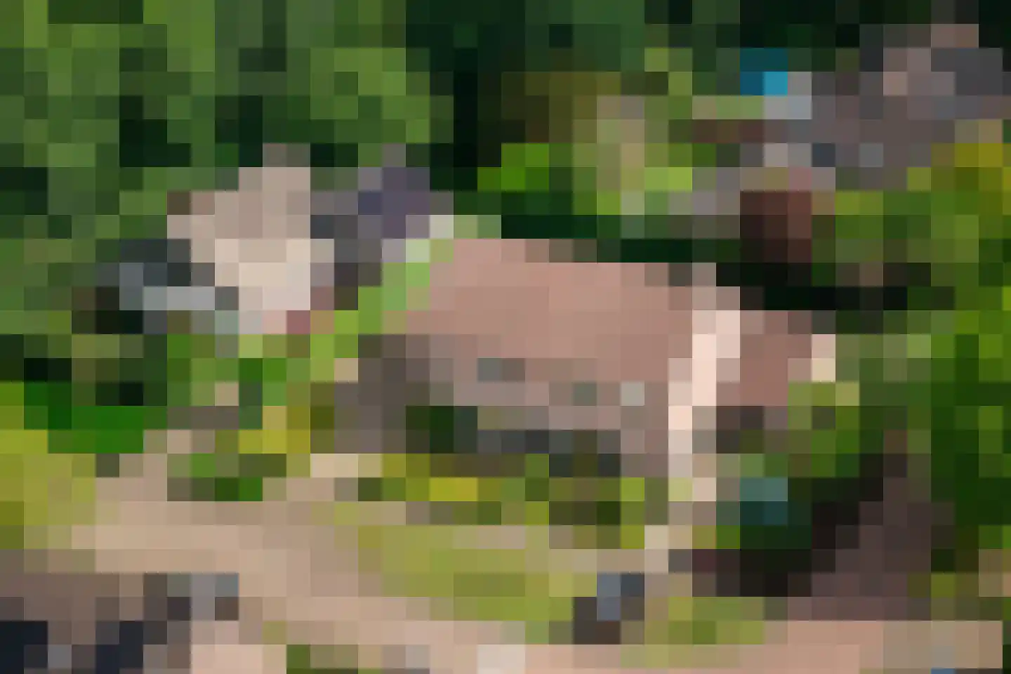 Het Diekman 14 Epse thumbnail 38