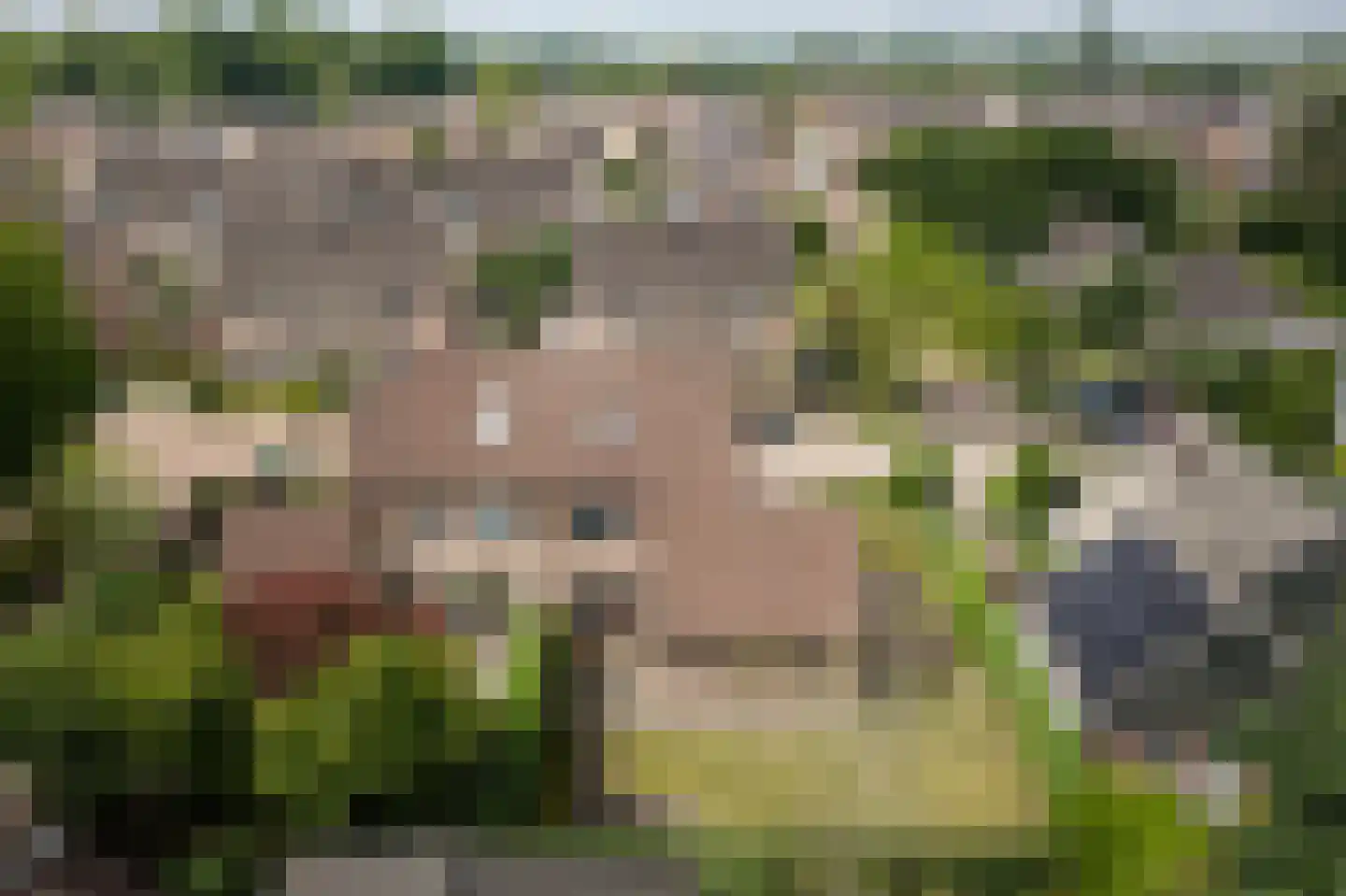 Het Diekman 14 Epse thumbnail 40