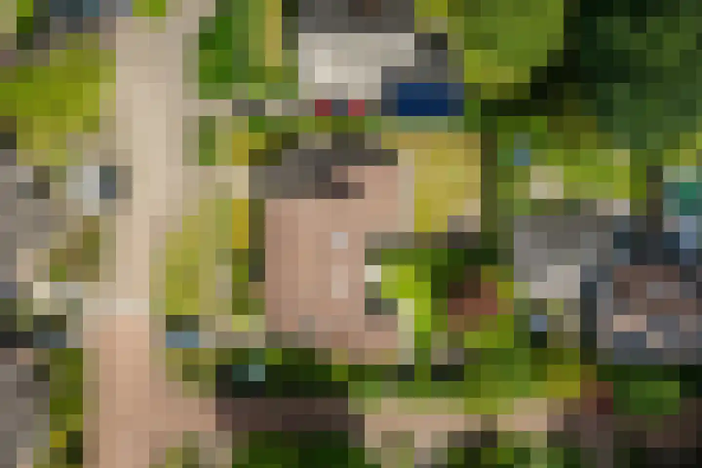 Het Diekman 14 Epse thumbnail 41