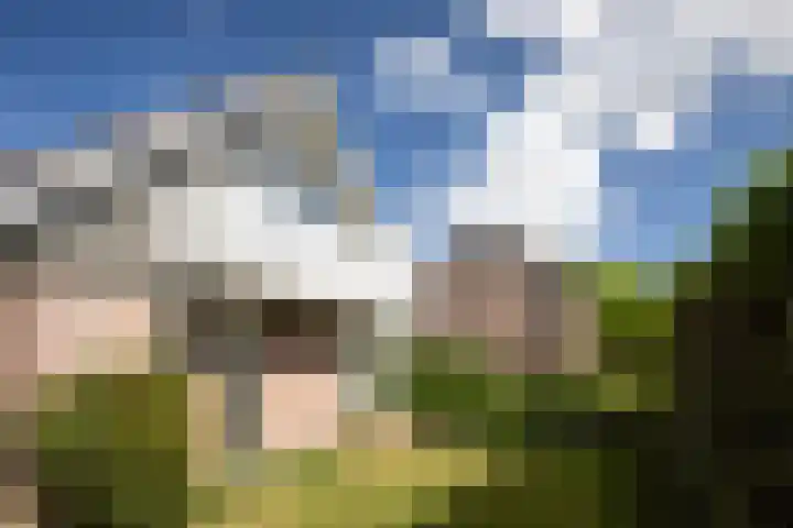 Het Diekman 16 Epse thumbnail 31