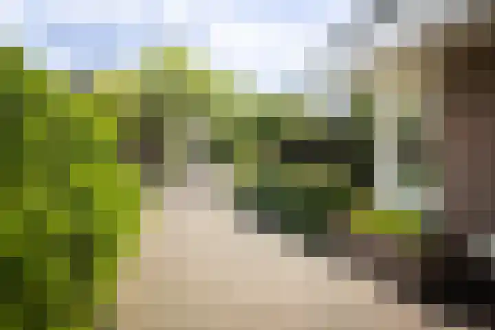 Het Diekman 16 Epse thumbnail 32