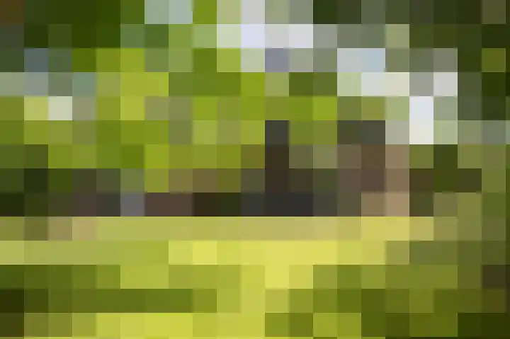 Het Diekman 16 Epse thumbnail 33