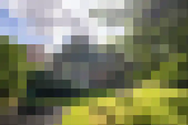 Het Diekman 16 Epse thumbnail 34