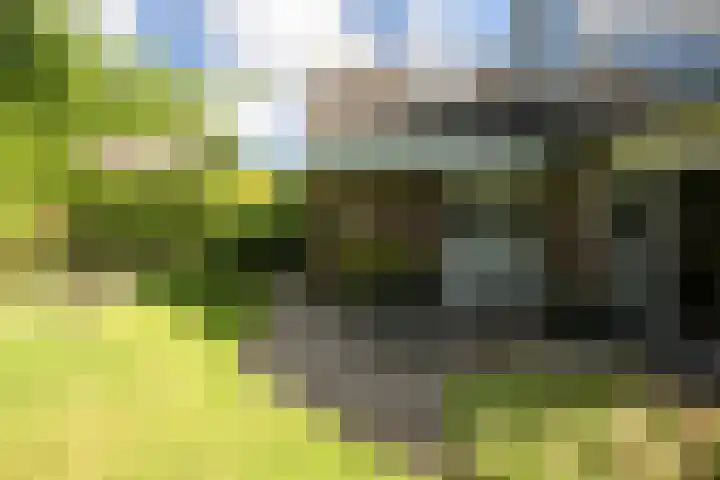 Het Diekman 16 Epse thumbnail 35