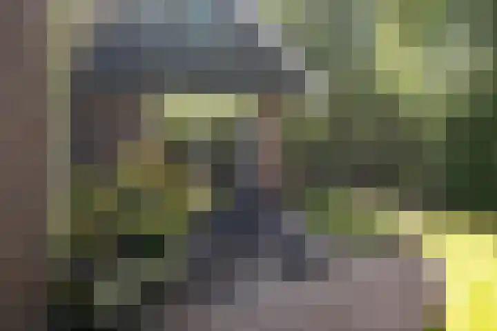 Het Diekman 16 Epse thumbnail 36