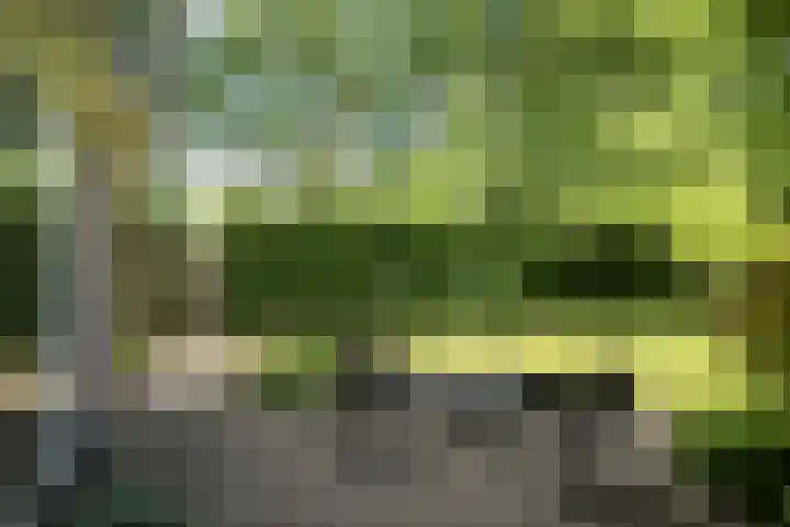 Het Diekman 16 Epse thumbnail 37